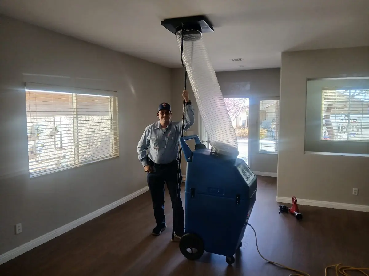 Professional Dryer Vent Cleaning work inside a Munford home